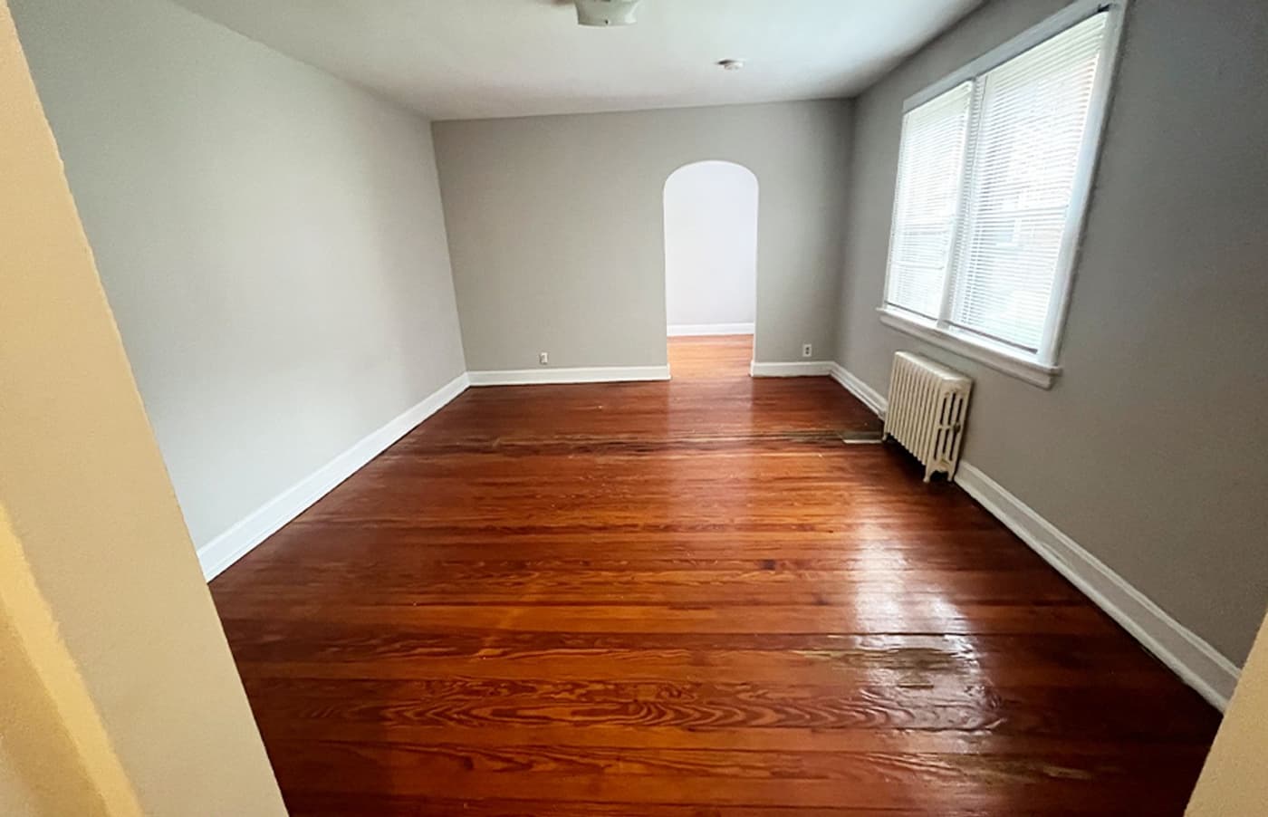 undefined apartments for rent - image - large-1394.jpg - 0