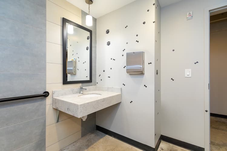 Cincinnati apartments for rent - image - Pet Wash Station