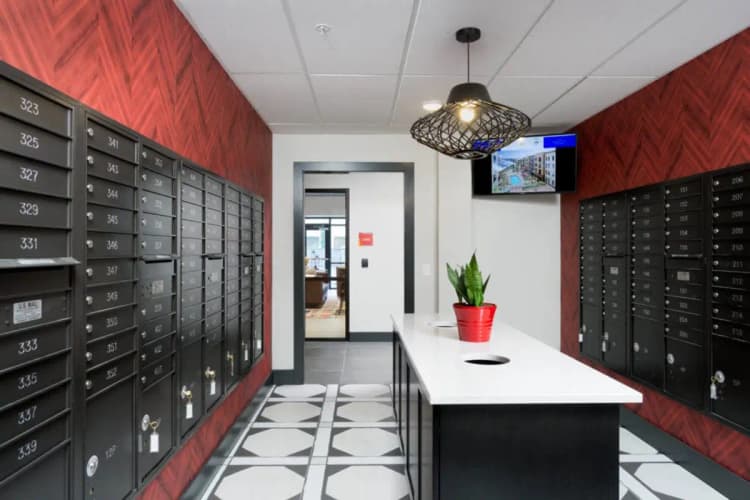 Cincinnati apartments for rent - image - RED26-1024x683.jpg