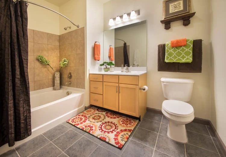 Cincinnati apartments for rent - image - large-1712262361784-DSC_0504.jpg