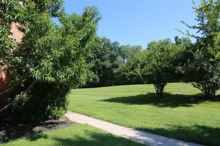 Cincinnati apartments for rent - image - Screenshot 2025-10-15 143117.jpg