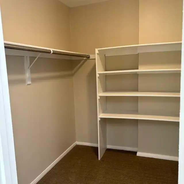 undefined apartments for rent - image - lc38_closet_view_2.jpeg.webp