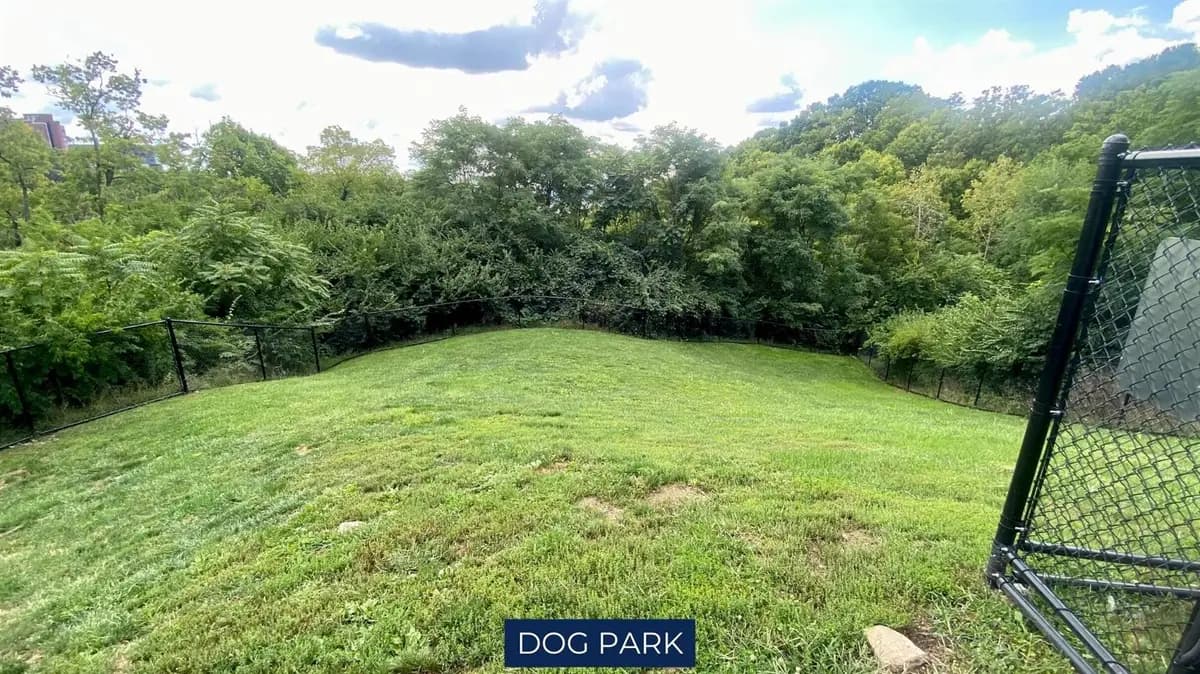 Cincinnati apartments for rent - image - 65 west dog park.jpg