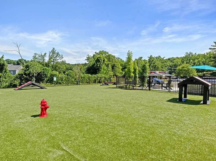 Cincinnati apartments for rent - image - Alcove-Website-14