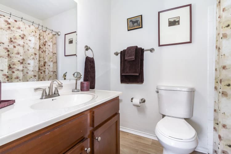 Cincinnati apartments for rent - image - Modern & Bright