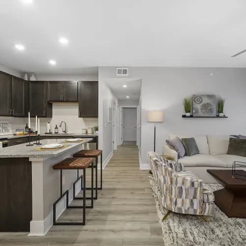 Cincinnati apartments for rent - image - AlexanderPointeModel103_05_wdgxc3.webp