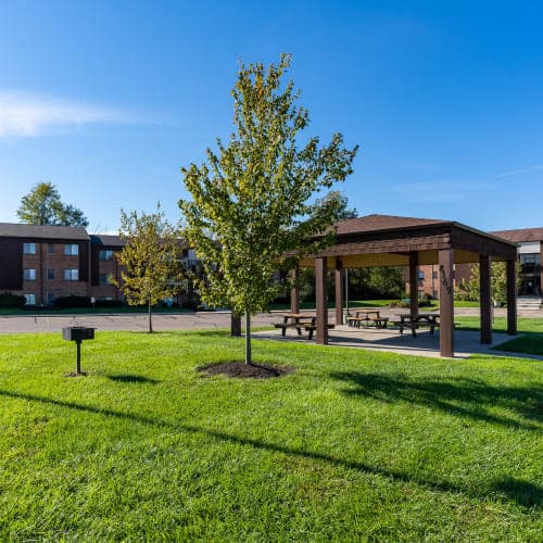 Cincinnati apartments for rent - image - DSC03083-min_bjmazs.jpg.jpeg