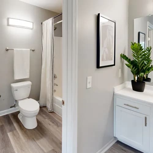 Cincinnati apartments for rent - image - Tahoe-Bathroom_w2hikn.webp