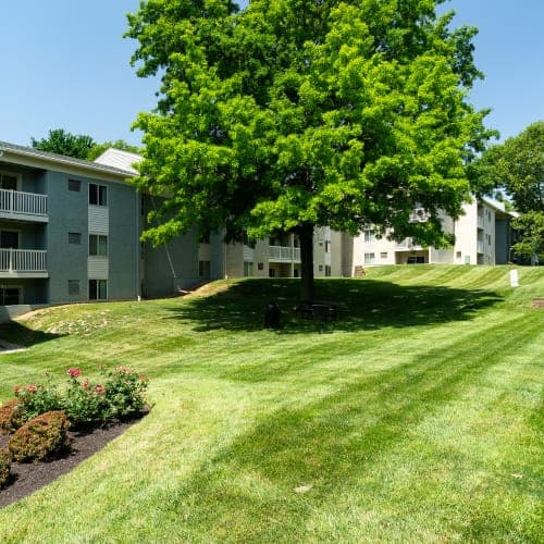 Cincinnati apartments for rent - image - DSC08829_b2yiot.jpg