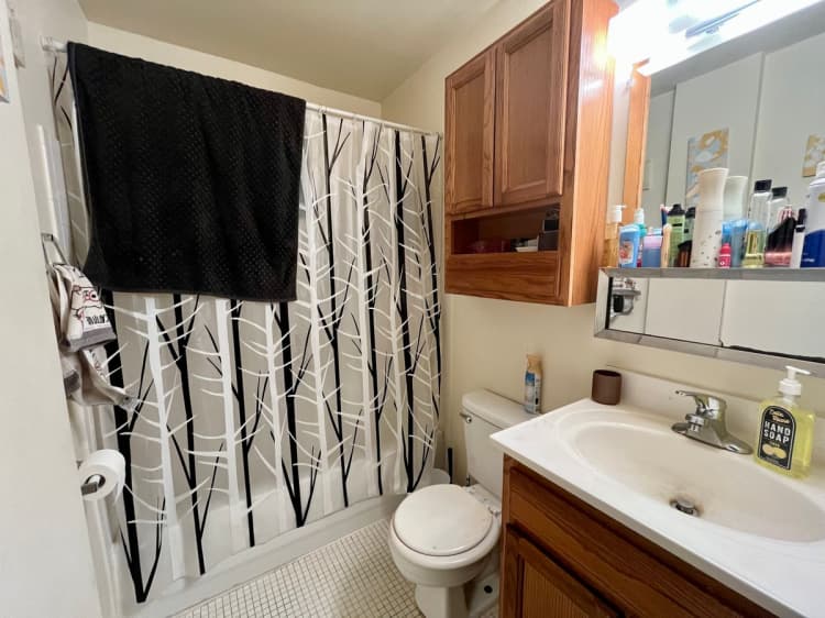 Cincinnati apartments for rent - image - large (26).jpeg