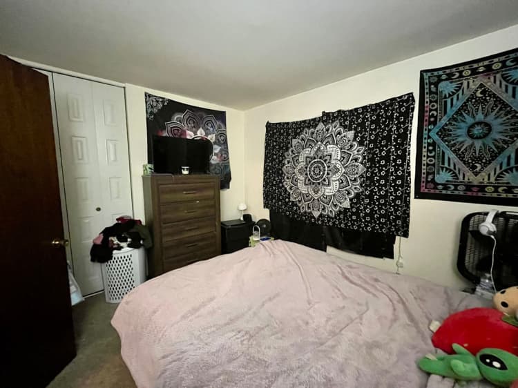 Cincinnati apartments for rent - image - large (25).jpeg