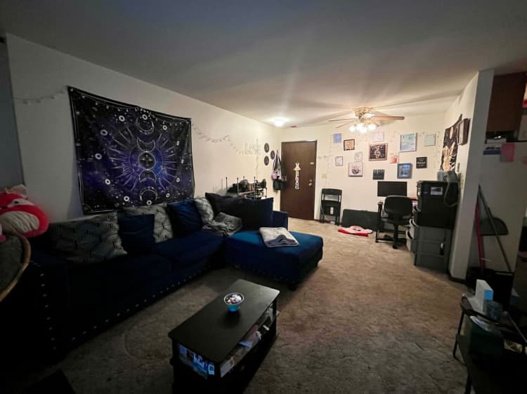 Cincinnati apartments for rent - image - large (19).jpeg