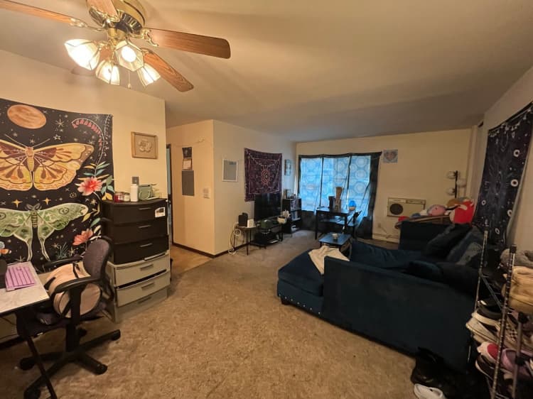 Cincinnati apartments for rent - image - large (18).jpeg