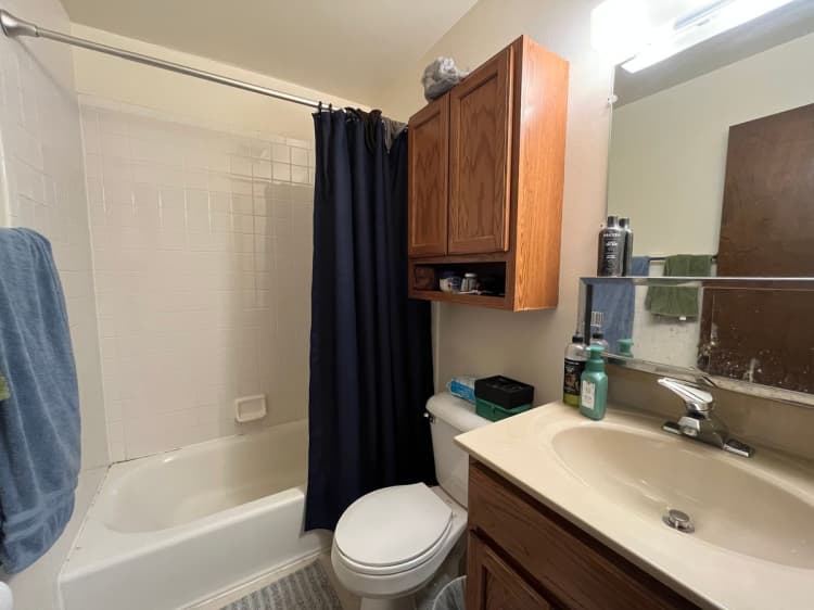 Cincinnati apartments for rent - image - large (17).jpeg