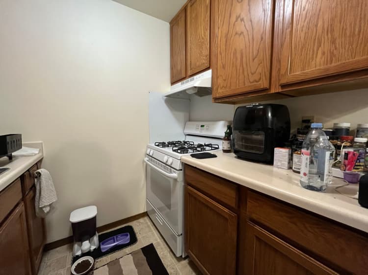 Cincinnati apartments for rent - image - large (13).jpeg