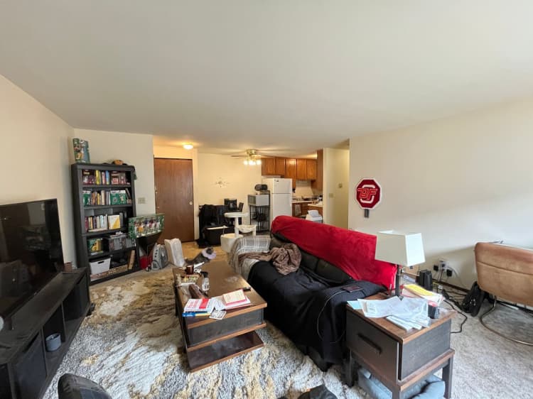Cincinnati apartments for rent - image - large (11).jpeg
