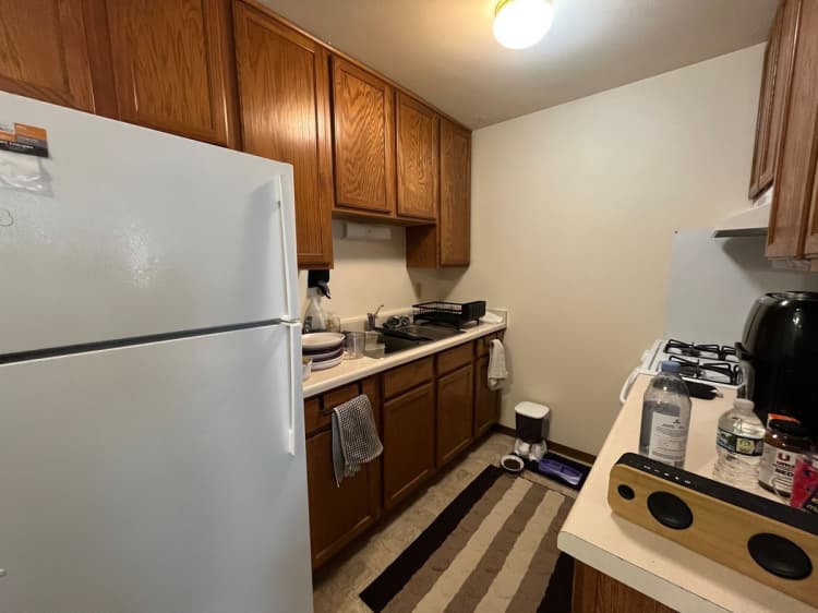 Cincinnati apartments for rent - image - large (12).jpeg