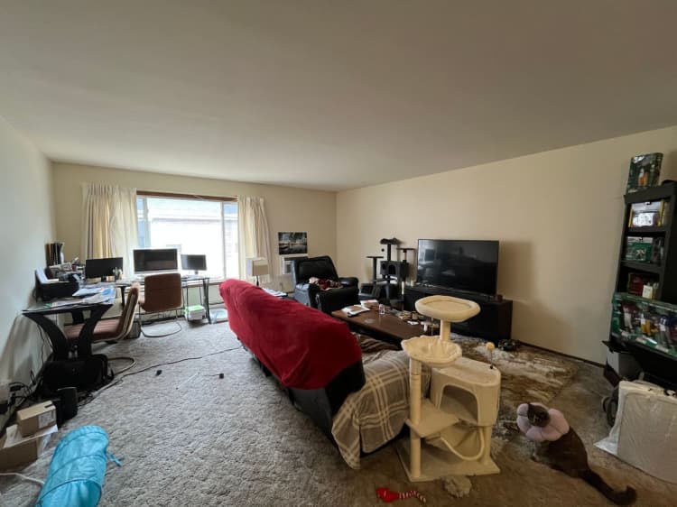 Cincinnati apartments for rent - image - large (9).jpeg