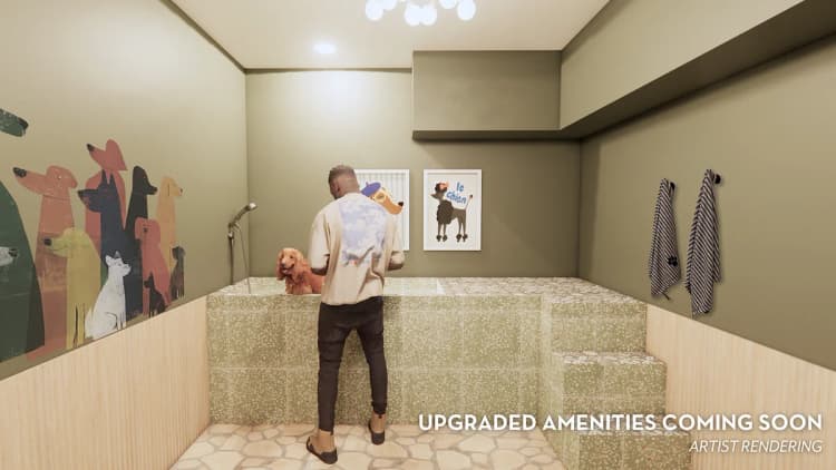 Cincinnati apartments for rent - image - Brand New Pet Spa Rendering