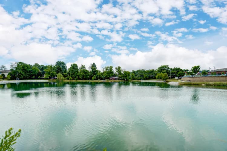 Cincinnati apartments for rent - image - Silverwoods Landing 7.webp