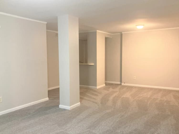 Cincinnati apartments for rent - image - Harbor Ridge Hoganbasement2.2.jpeg