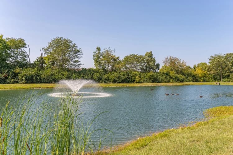 Cincinnati apartments for rent - image - Bridgewater Crossing - Lake.webp
