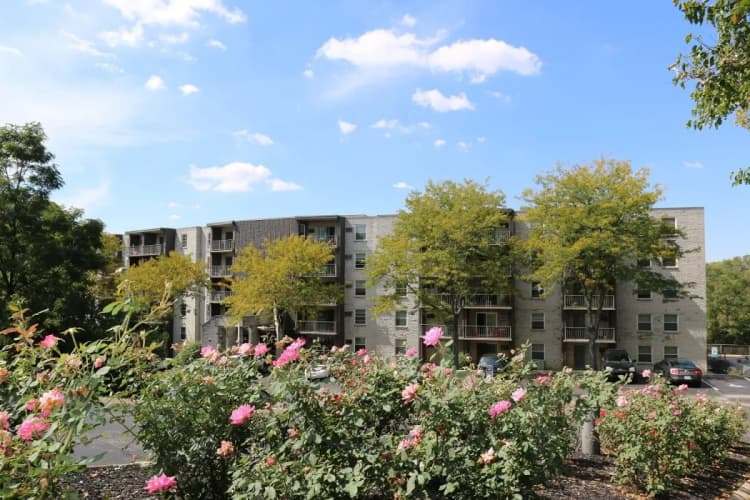 Cincinnati apartments for rent - image - imgi_7_3_452577_2362945.webp