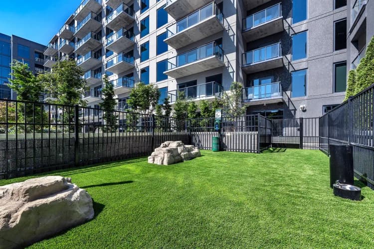 undefined apartments for rent - image - large-1737741489808-DSC_0272.jpg