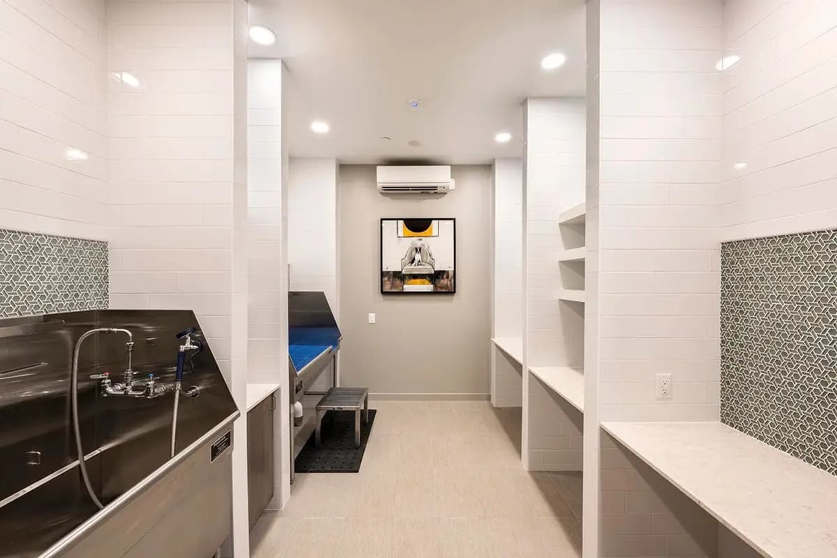 undefined apartments for rent - image - large-1737757772793-DSC_0302.jpg