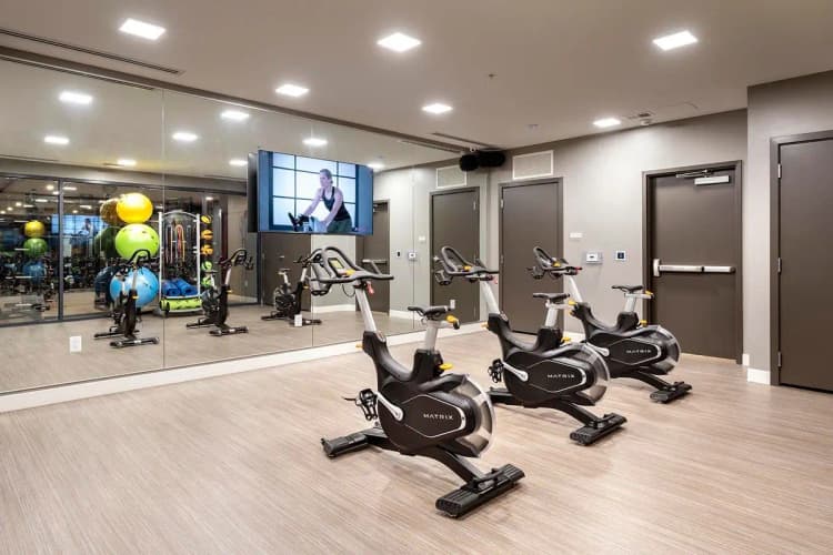 undefined apartments for rent - image - large-1737758041262-DSC_0461.jpg