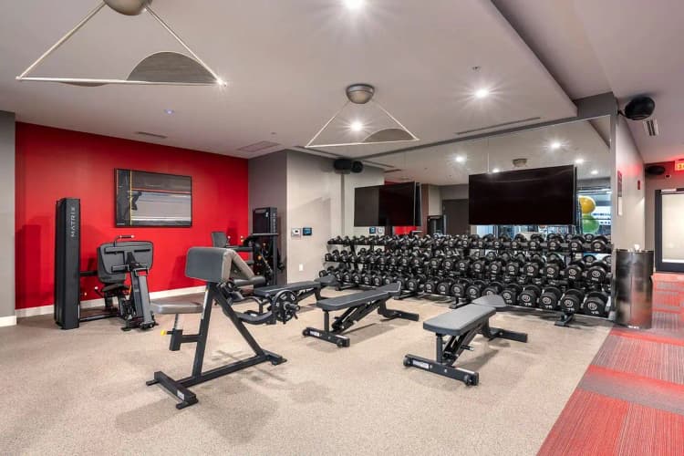 undefined apartments for rent - image - large-1737758073566-DSC_0465.jpg