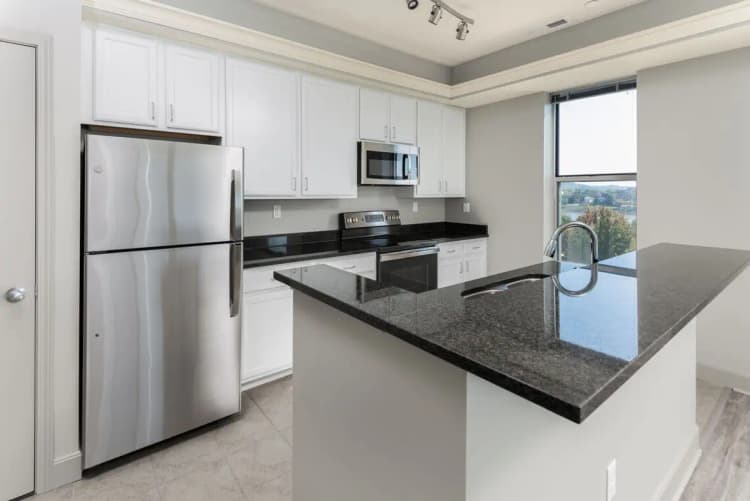 undefined apartments for rent - image - 142881710.jpg