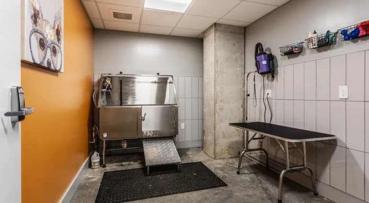 undefined apartments for rent - image - 29-Artistry-Cincy-Web-ad3bd9ab91e2c2d5bc00ab16b3b42c7e.jpg