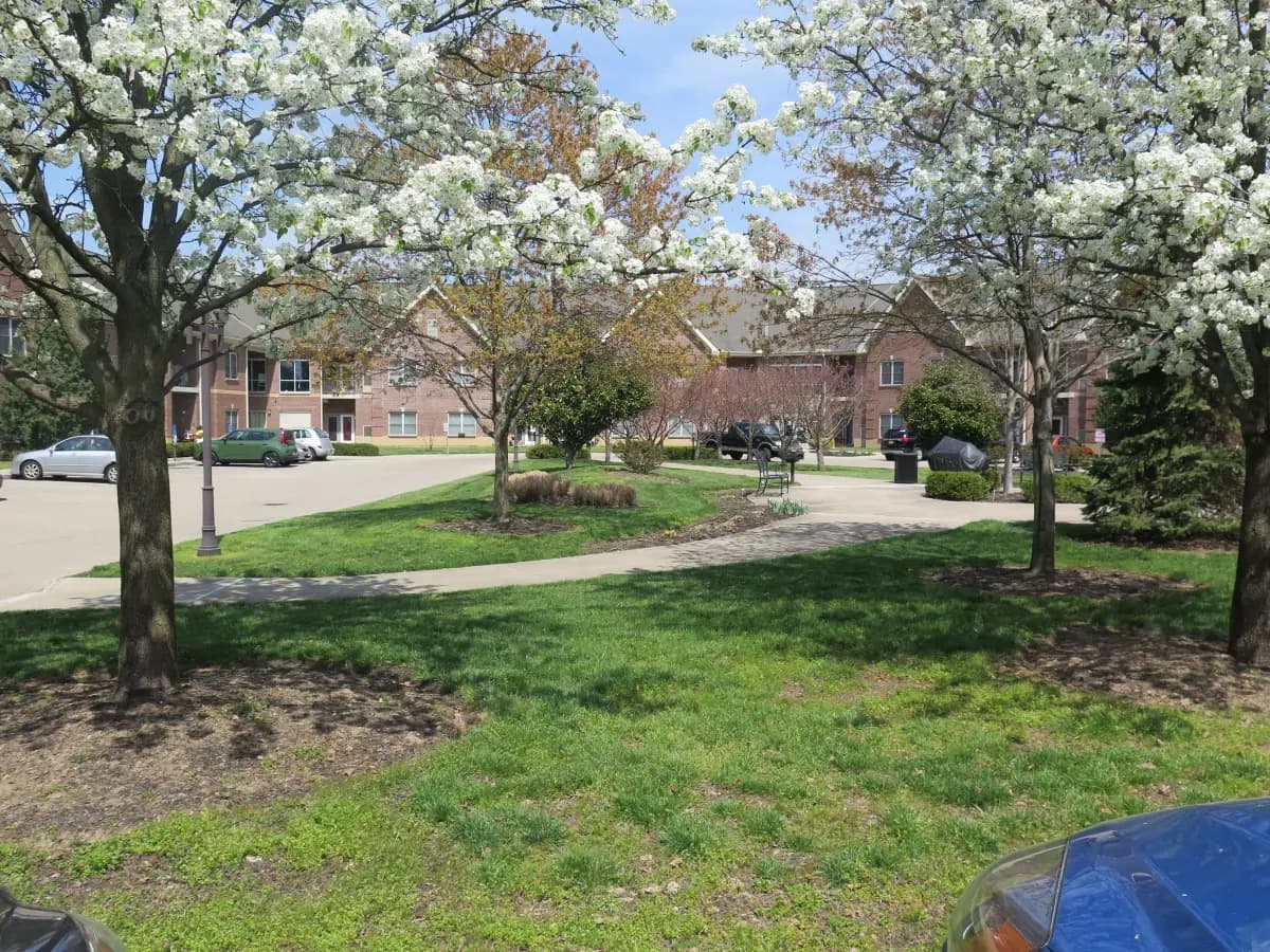 undefined apartments for rent - image - Baldwin Grove Beautiful day (1) (1).webp