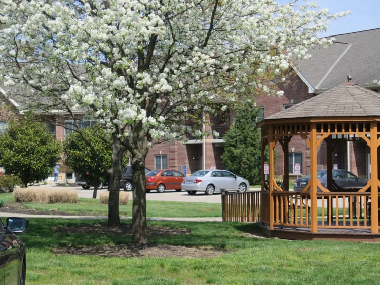 undefined apartments for rent - image - Baldwin Grove Beautiful day (3).webp