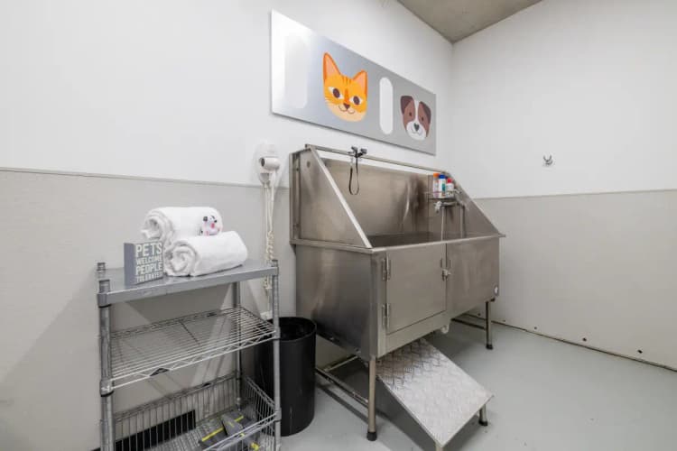 undefined apartments for rent - image - unnamed (42).webp