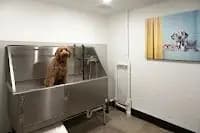 undefined apartments for rent - image - imgi_131_P3ORvIILBSO9hg1_ocyNAZhMMwn3a5AF7CgqgVyKAiNf3OLHPoZFeuYOA8lKfQHUvYm_8Zo1EJguGYrCGibuNP17loKYToywWDr8_S_p=s200-rw.jpeg