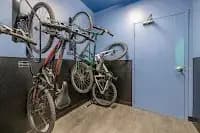 undefined apartments for rent - image - imgi_87_z1WKF_-kGzmCHTymf8m7K_XxBi_rRXE1_uyI94Nwgd3UX97fjPiSO4xFlZ5fycjzZ1GlLyMoHuMLXLtORjV0zbFKfg605gItGg3-f6Yk=s200-rw.jpeg