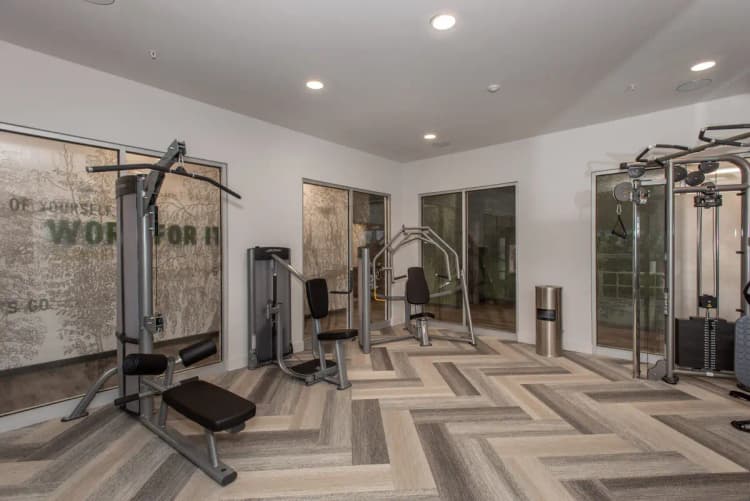 undefined apartments for rent - image - imgi_236_Wellington_Web-87-2048x1367.jpg