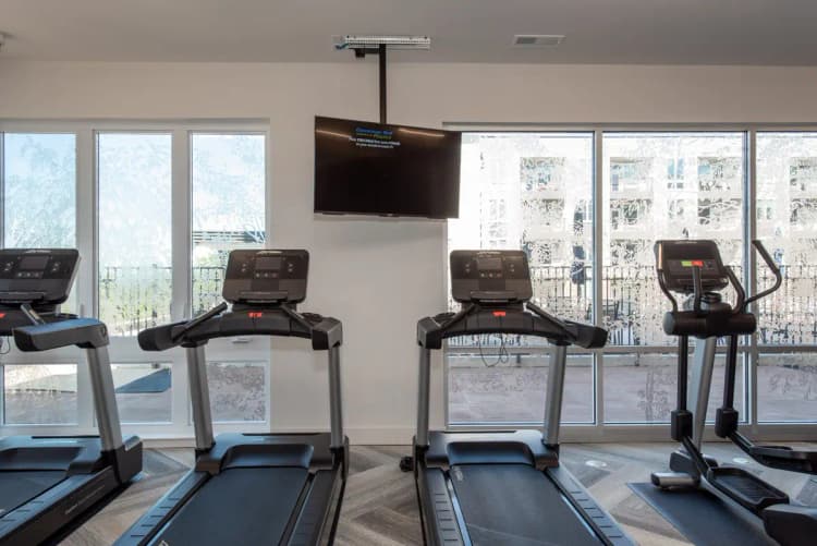 undefined apartments for rent - image - imgi_252_Wellington_Web-85-2048x1367.jpg