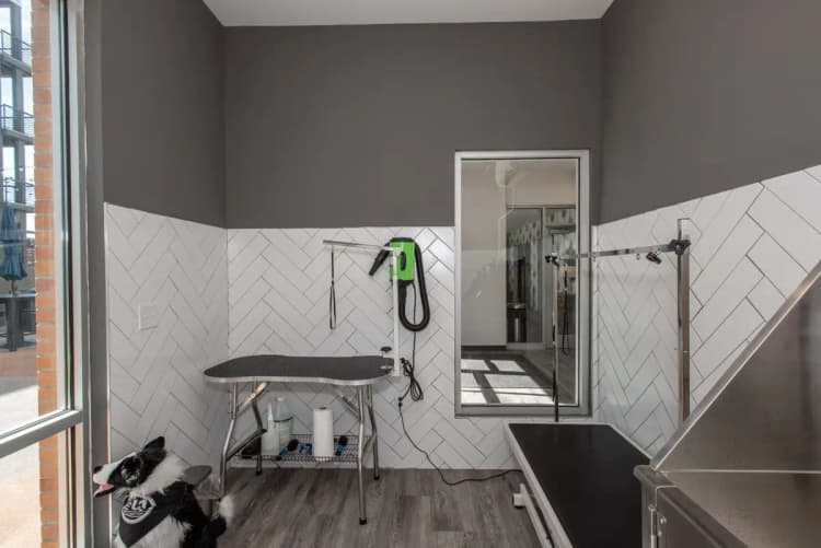 undefined apartments for rent - image - imgi_260_Wellington_Web-41-2048x1367.jpg