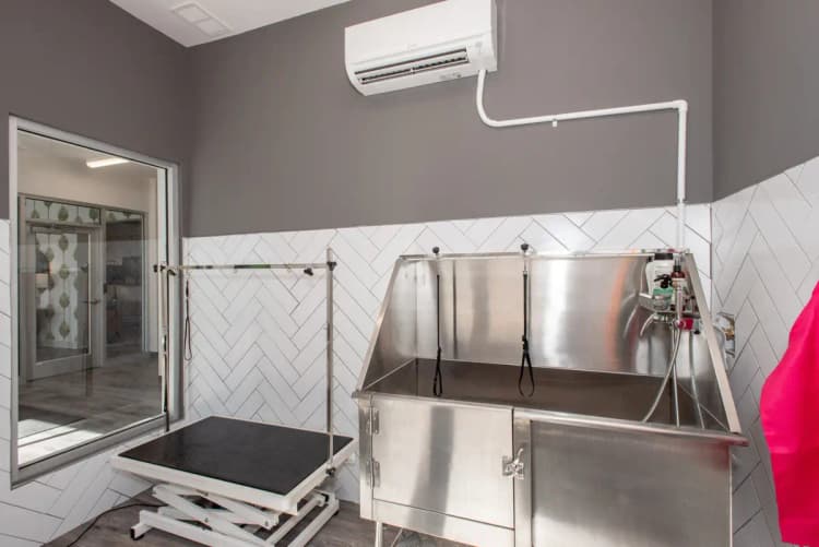 undefined apartments for rent - image - imgi_268_Wellington_Web-42-2048x1367.jpg