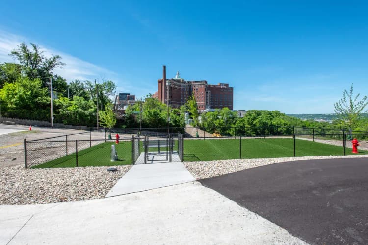 undefined apartments for rent - image - imgi_292_Wellington_Web-131-2048x1367.jpg