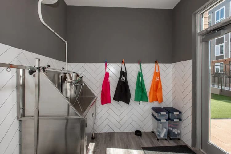 undefined apartments for rent - image - imgi_300_Wellington_Web-40-2048x1367.jpg