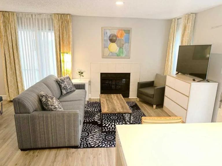 undefined apartments for rent - image - Upgraded Living room 2.jpg
