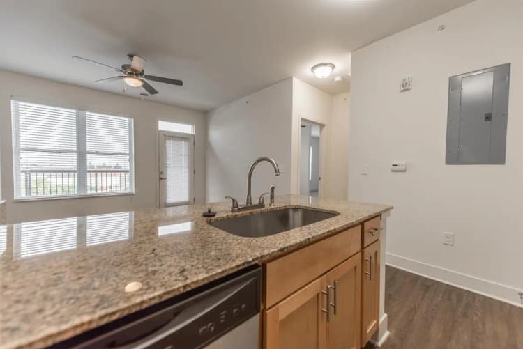 undefined apartments for rent - image - Views on Vine- 2505-4.jpg