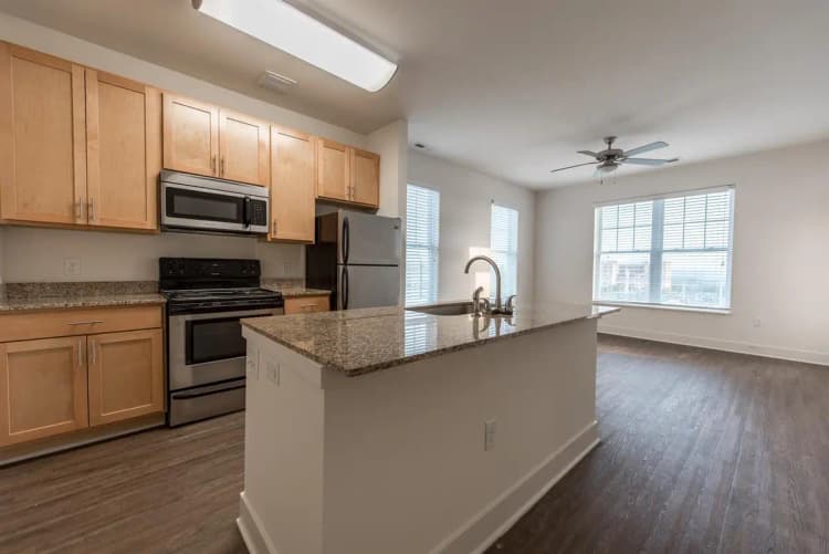 undefined apartments for rent - image - Views on Vine- 2516 (1 of 13).jpg