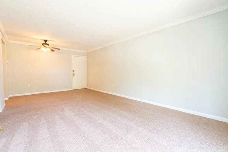 undefined apartments for rent - image - Tarpis Woods 1 BR LL Web-10.jpg