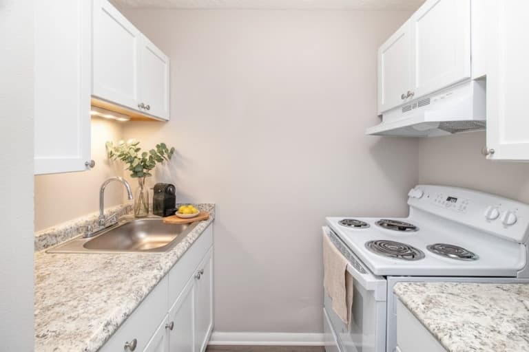 undefined apartments for rent - image - property_12-2025_kitchen 1 (1).jpg