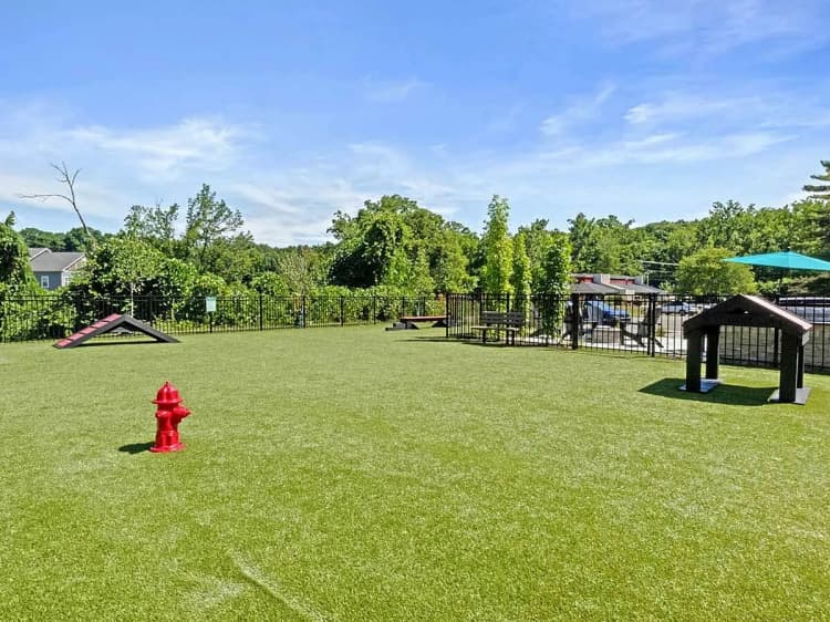 undefined apartments for rent - image - 68bdfd553f48e1.80430555332.webp